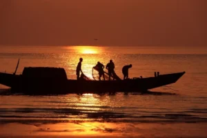 Sundarban 1 Day Tour